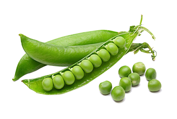 大豆1.png 大豆1.png